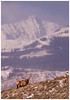 SmugMug > keywords > electric > Electric peak.